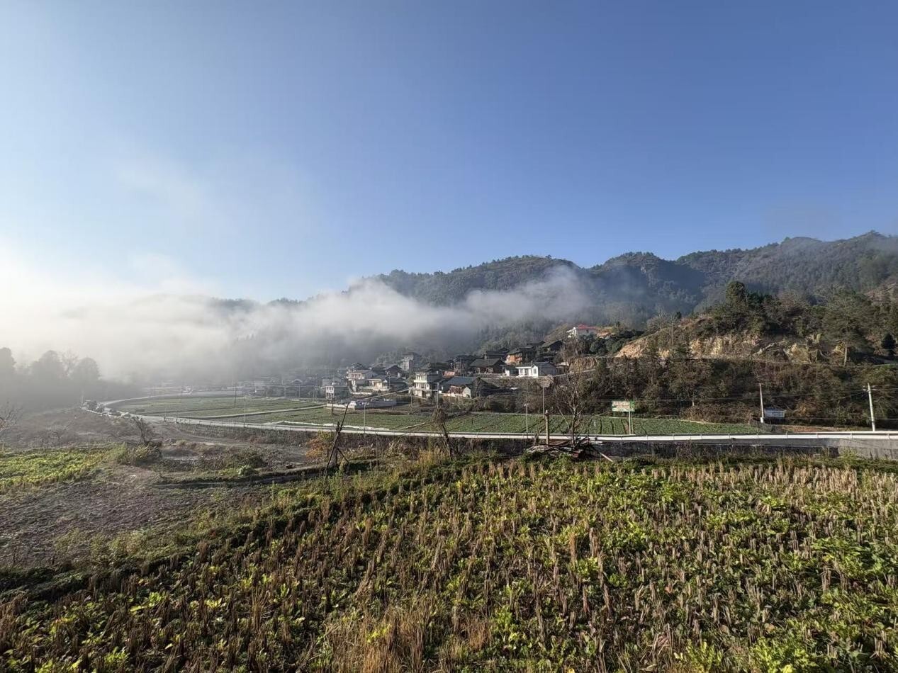 湖南首个“机器管招投标”农业工程试点项目在古丈全面竣工