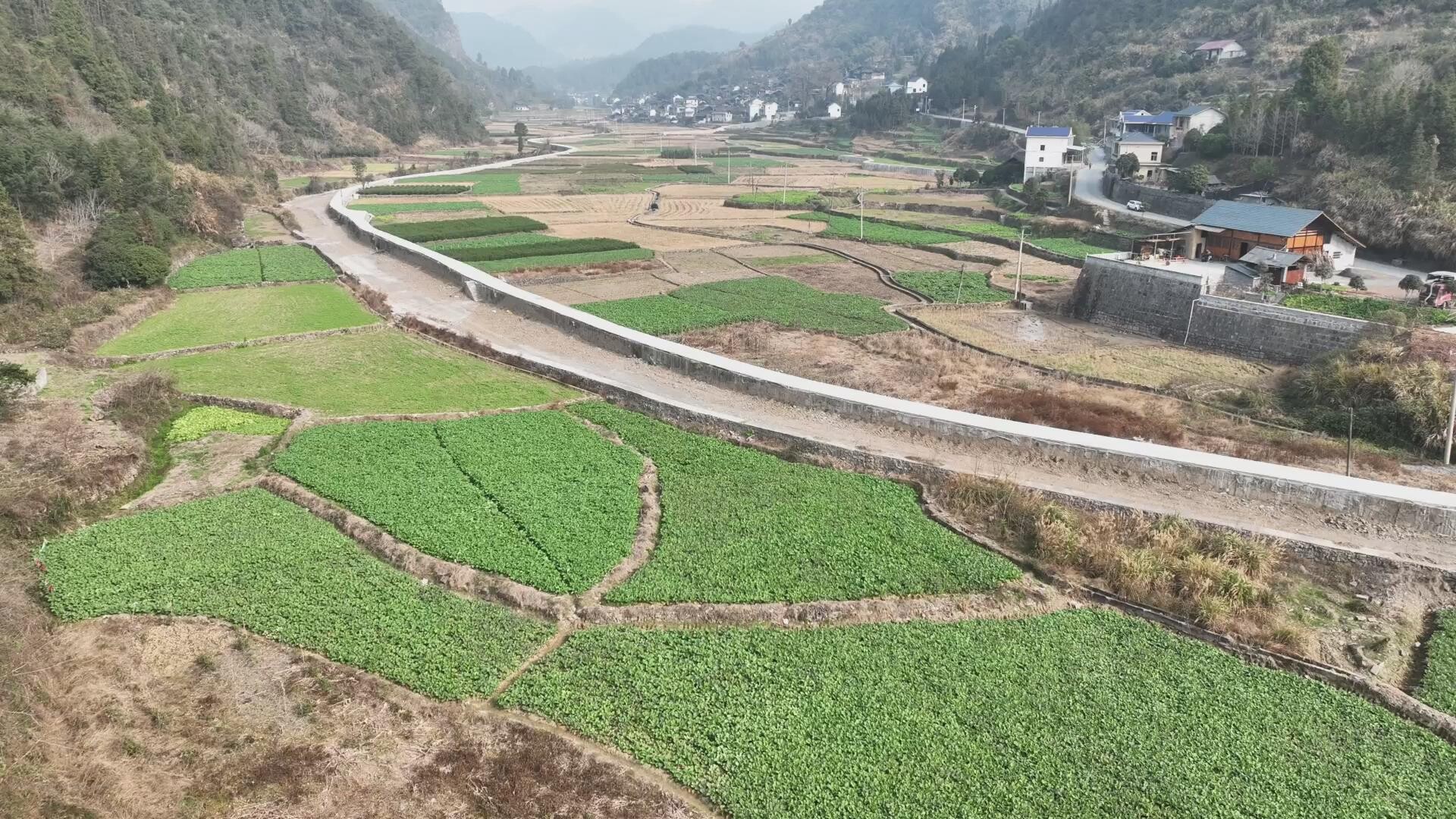 数字赋能高标准农田建设 湖南省首个“机器管招投标”农业工程在古丈建成投用