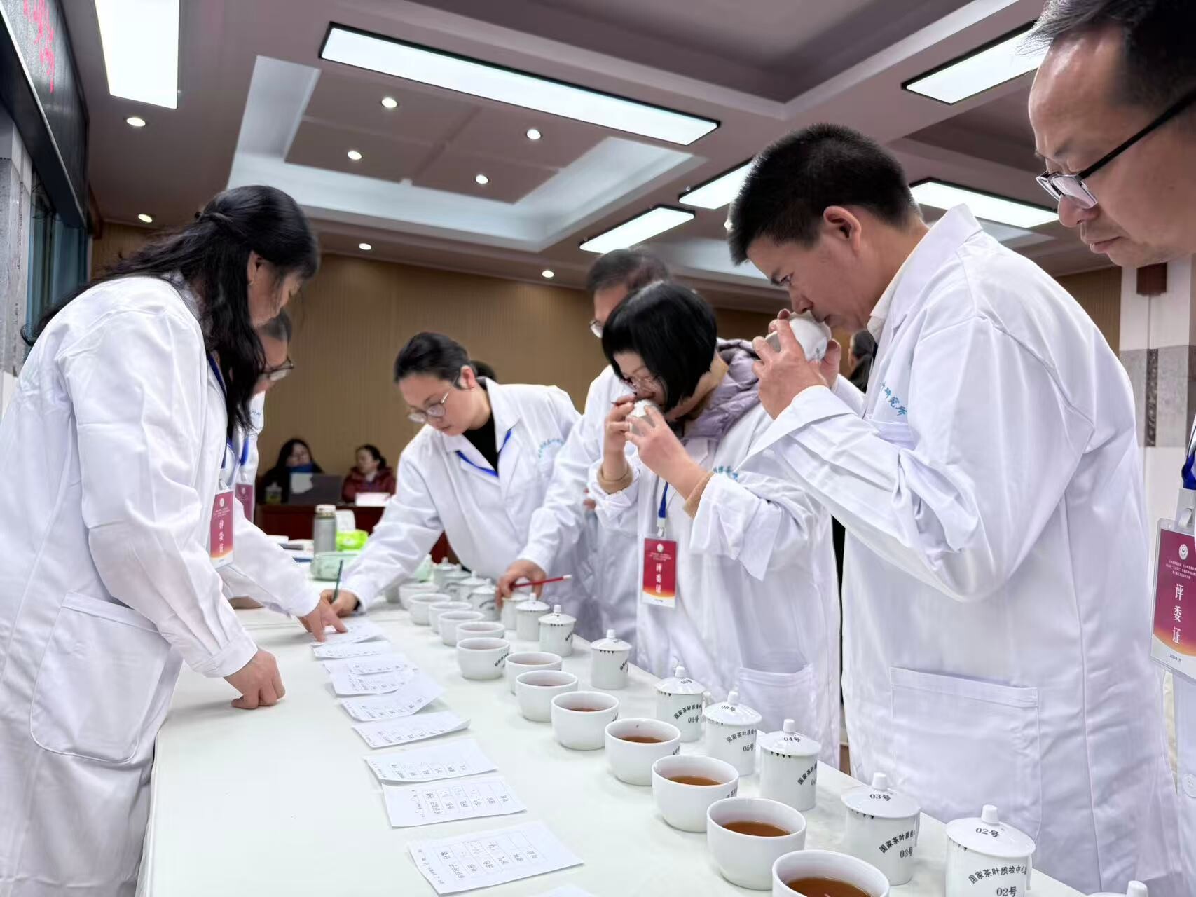 斗茶赛品茶香 古丈红茶锻造产业新实力