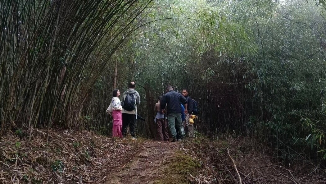 岁末新春探幽天桥山：冬景如诗，祈福迎祥正当时