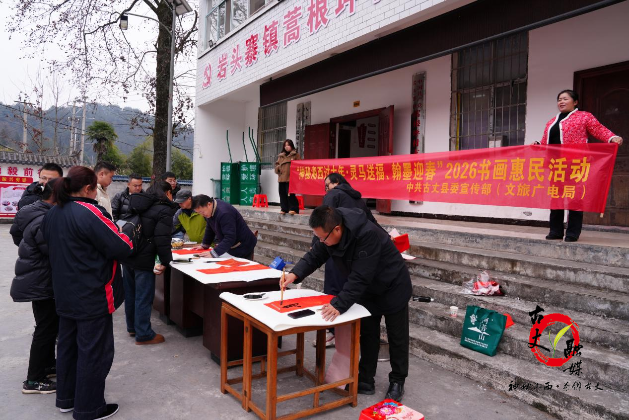 翰墨飘香暖民心 蒿根坪村迎来文化大餐