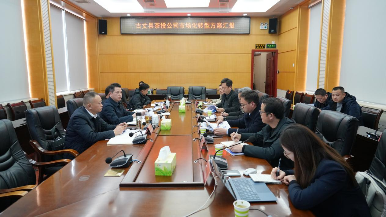 滕朝辉专题听取茶投公司市场化转型汇报 扛牢服务县域发展使命担当 着力打造现代化国有企业