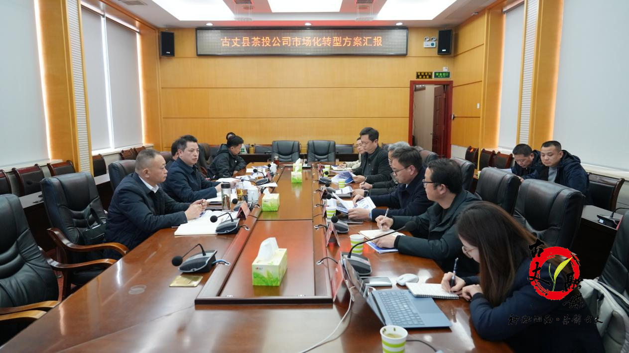 滕朝辉专题听取茶投公司市场化转型汇报 扛牢服务县域发展使命担当 着力打造现代化国有企业