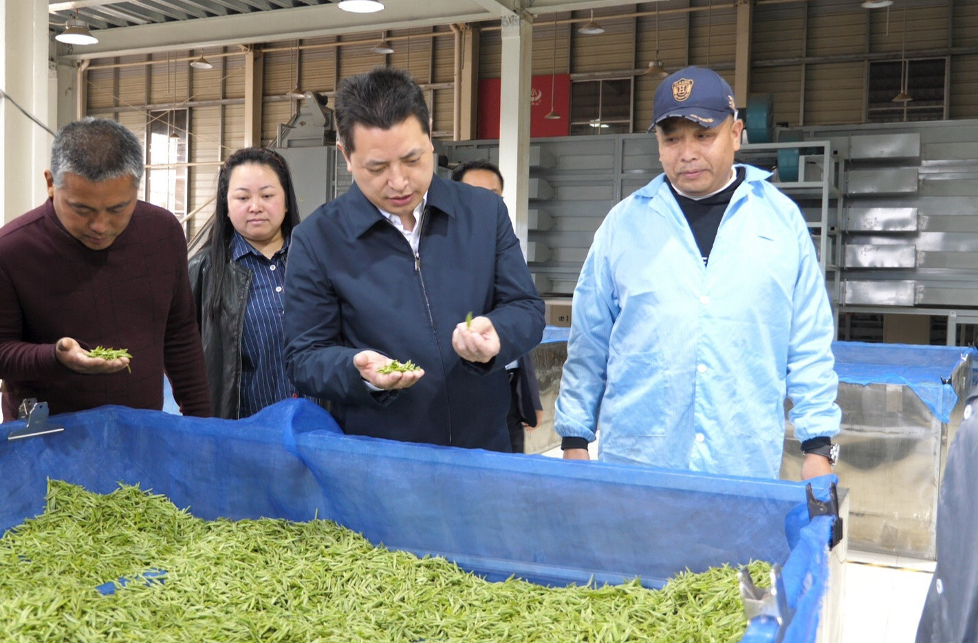 滕朝辉调研春茶生产、乡村振兴时强调：深化茶文旅融合 助推高质量发展