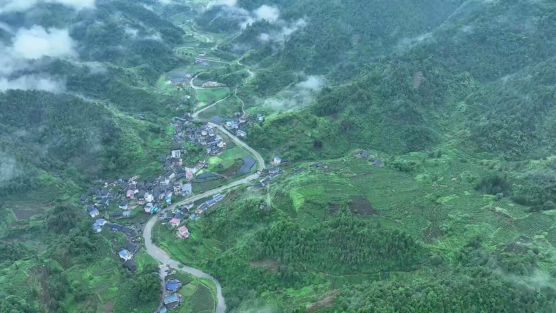 【企业家风采】龙自刚：以“英妹子”为笔，书写古丈茶旅融合新篇章