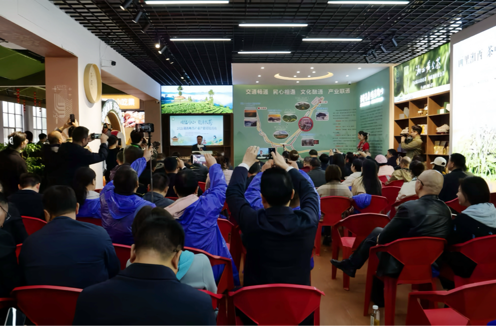 2026年湘西州茶产业产销对接活动举行 “古丈毛尖1955”品牌正式发布