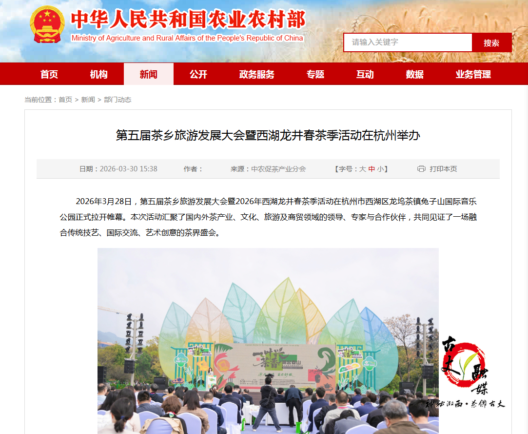 以茶为脉 融旅赋能 ——古丈县茶旅线路入选2026全国茶乡旅游精品线路