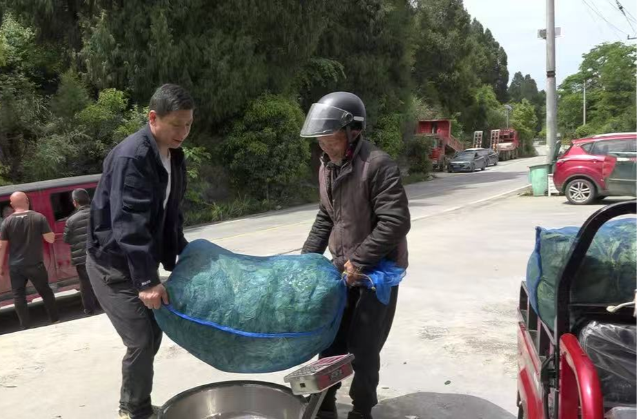 罗贤金：以茶为媒惠乡邻 茶香溢满致富路