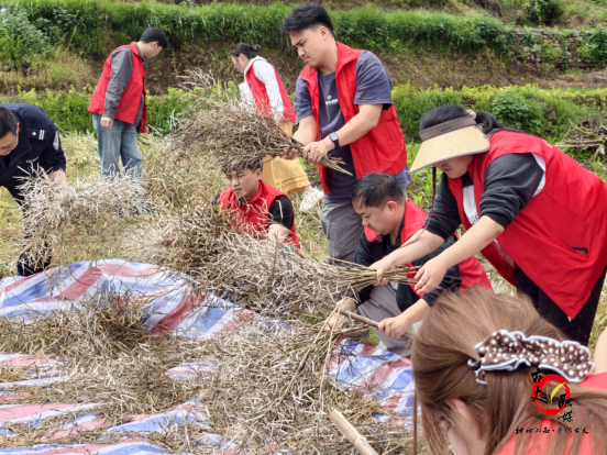 湘西古丈县高峰镇：雨后抢农时 巡查除隐患
