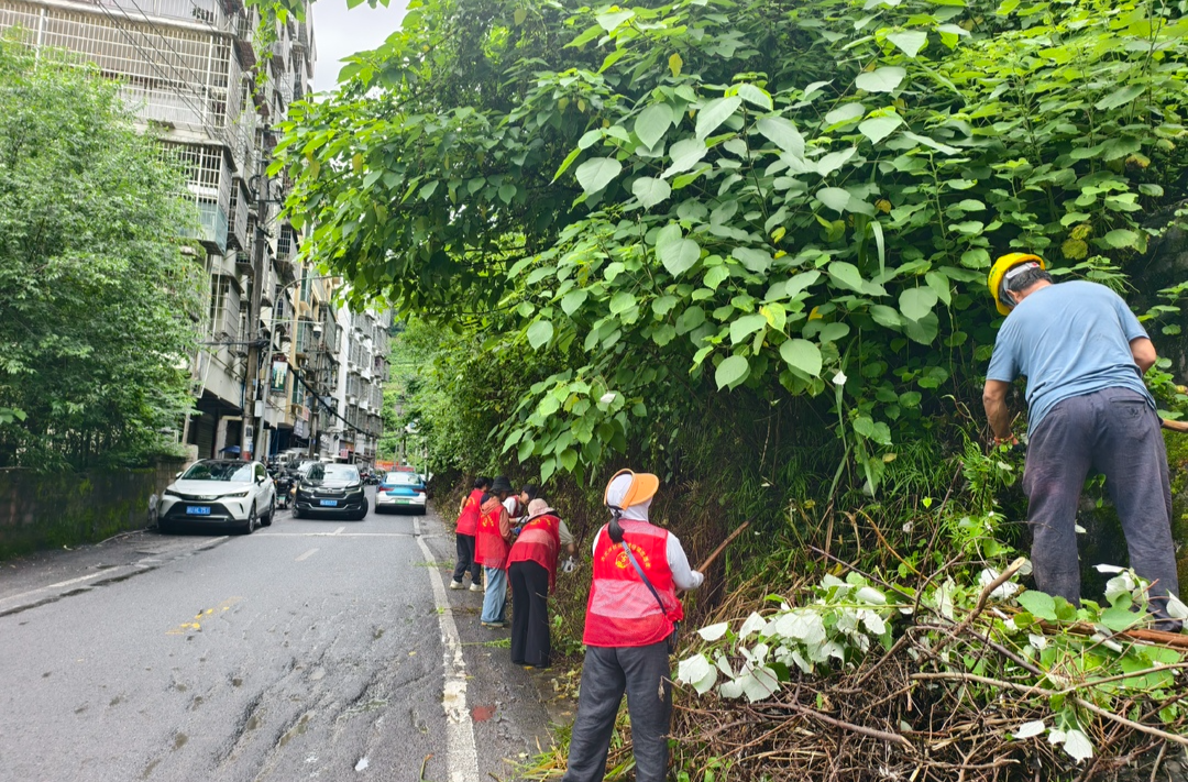 古阳镇古丈坪社区常态开展辖区环境清理 剪枝除障优服务 文明创建践于行