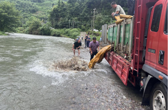 守护一河碧水 湘西古丈开展天然水域增殖放流