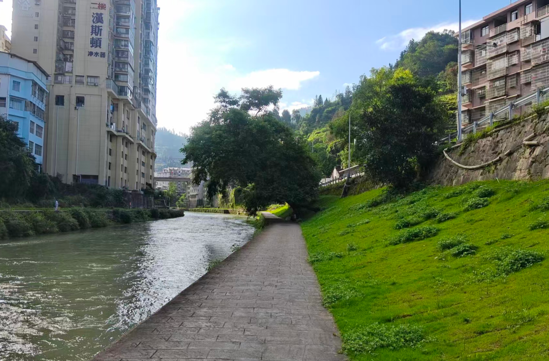 堤岸添新绿 河廊焕新颜—— 古丈县城乡建设和交通运输局全力打造古阳河沿岸绿色廊道
