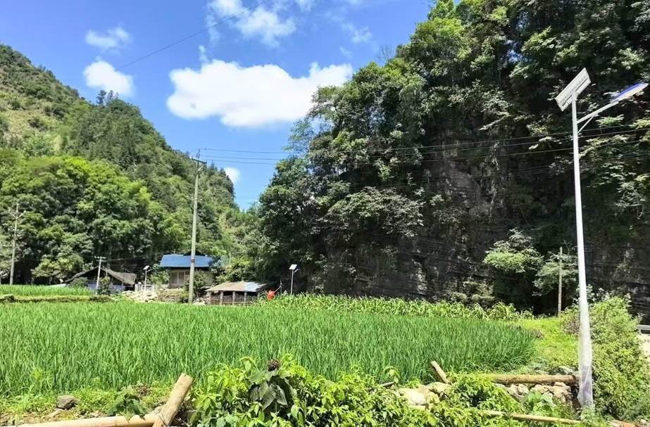 古丈县人民法院：心系乡村办实事 亮化道路暖民心