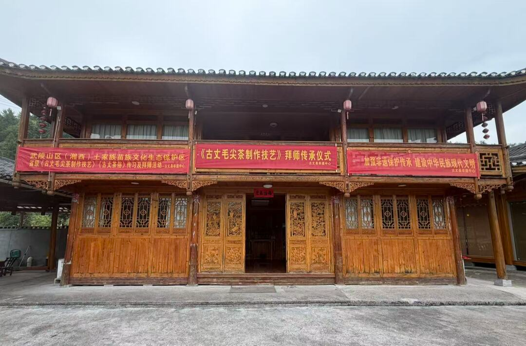 薪火传茶技 非遗续新章——古丈毛尖茶制作技艺传习所举行非遗拜师礼