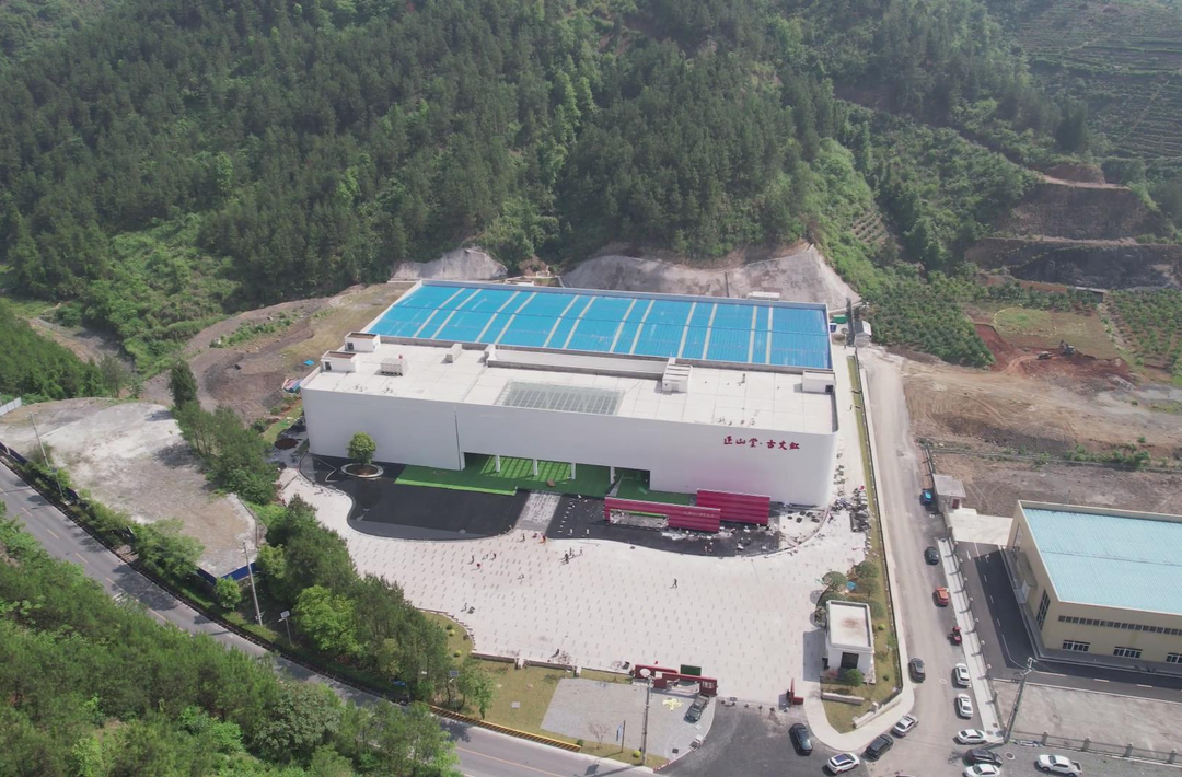 数字赋能秋茶飘香——正山堂古丈红数字化工厂全链发力带动茶农增收
