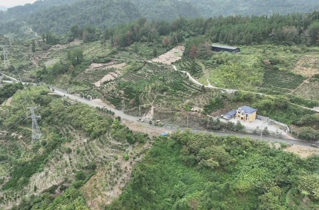 抢抓黄金期 国庆不停工 省道313罗凤公路一期建设“加速跑”