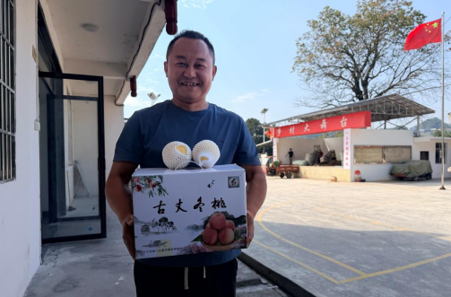 湘西古丈县高峰镇：一桃一菌绘就丰收画卷 特色产业激活乡村振兴动能