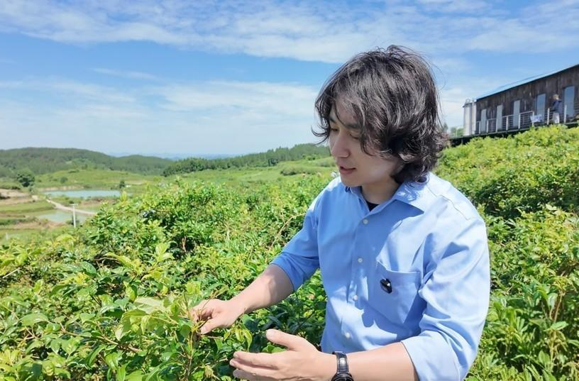 古丈县小叶藤茶富山乡——湖南农业大学教师胡楠驻点断龙山镇三年记
