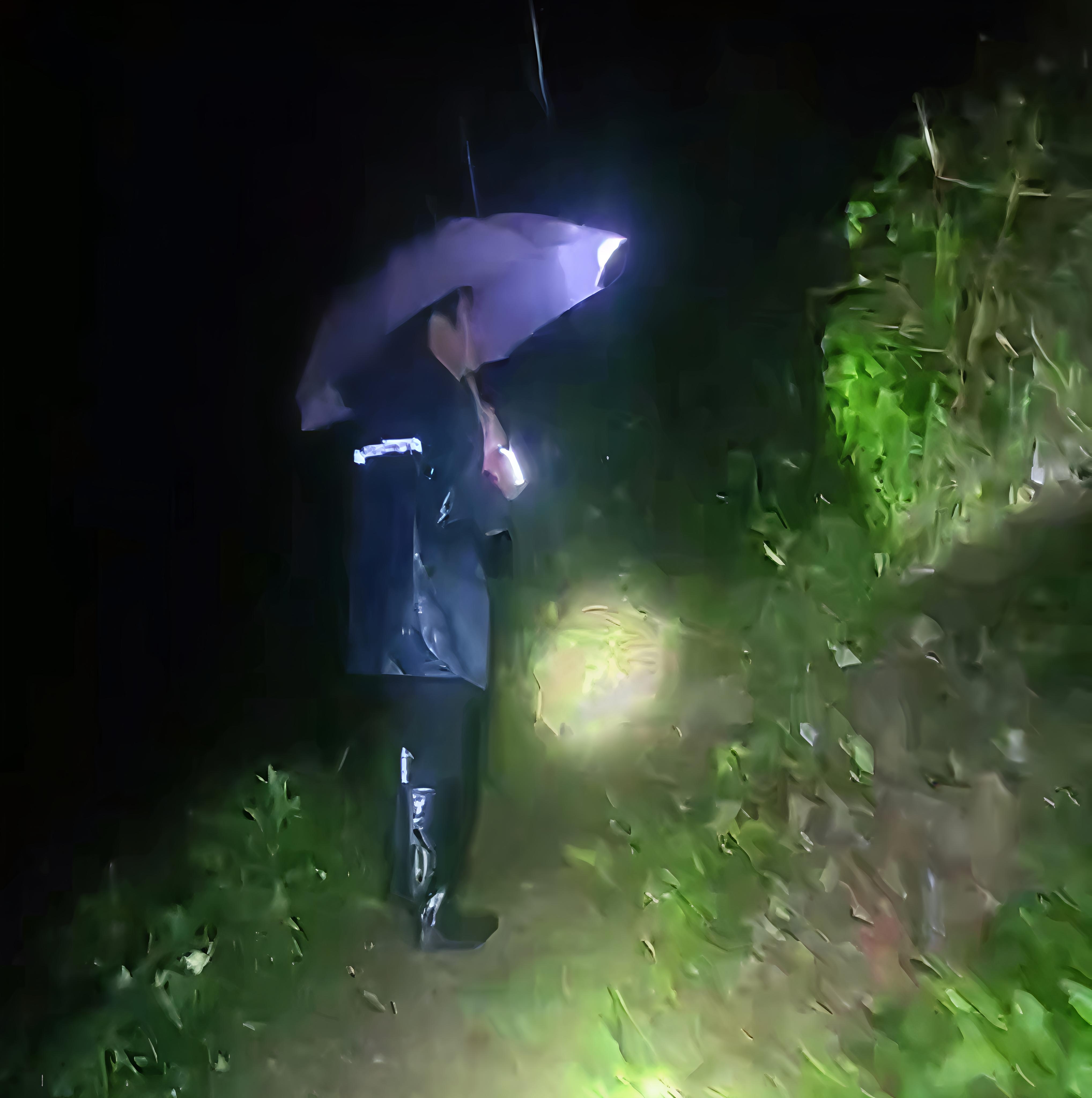 古阳镇排茹村：以预警为令 筑牢防汛安全堤