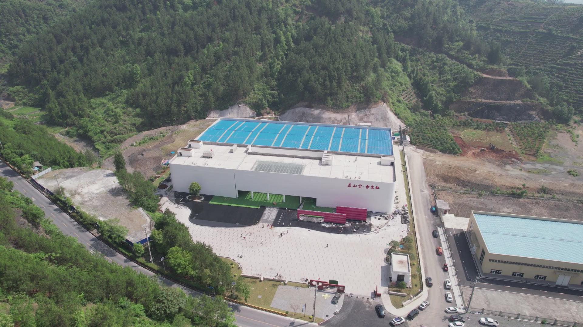 数字赋能秋茶飘香——正山堂古丈红数字化工厂全链发力带动茶农增收