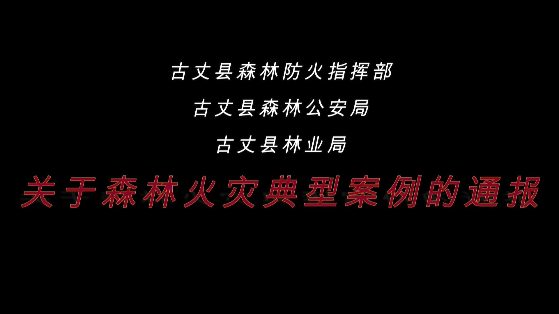 关于森林火灾典型案例的通报