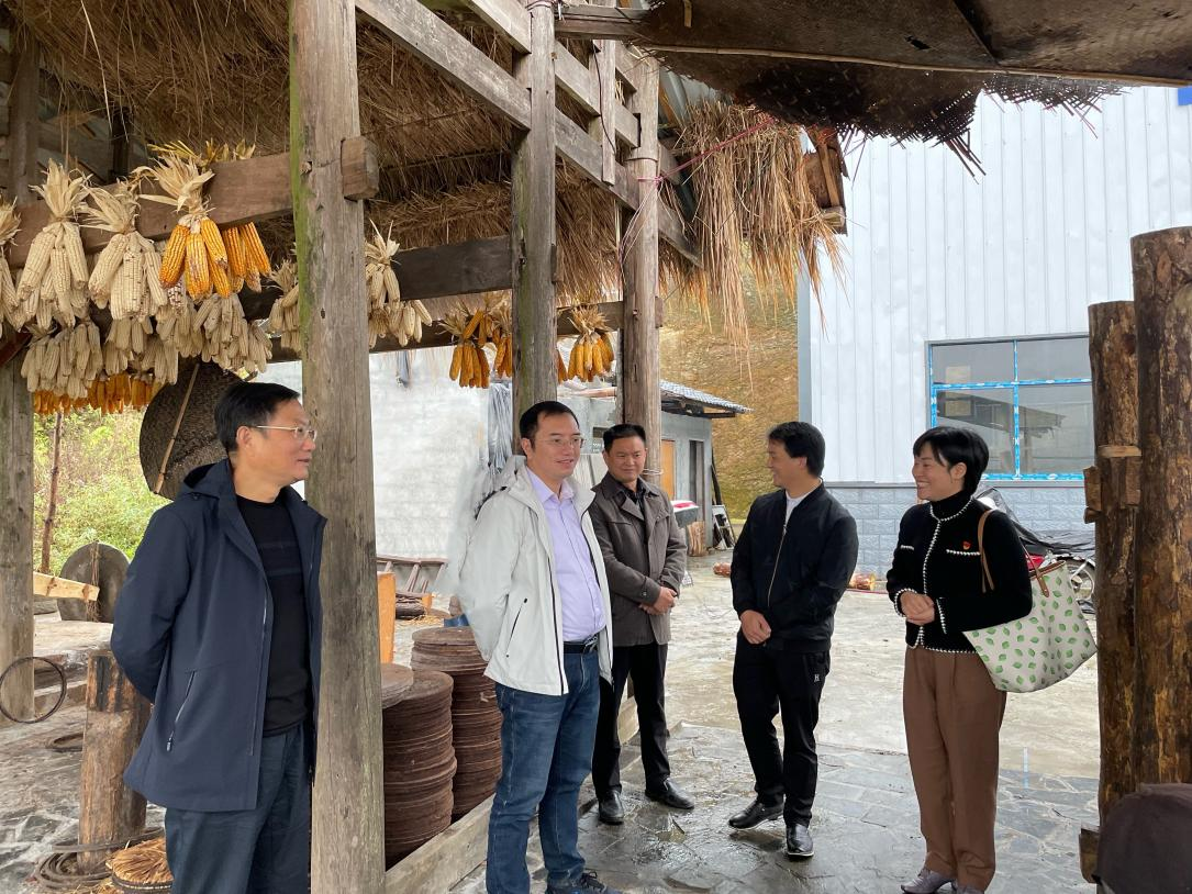 陈瑞一行深入坪坝镇调研指导工作