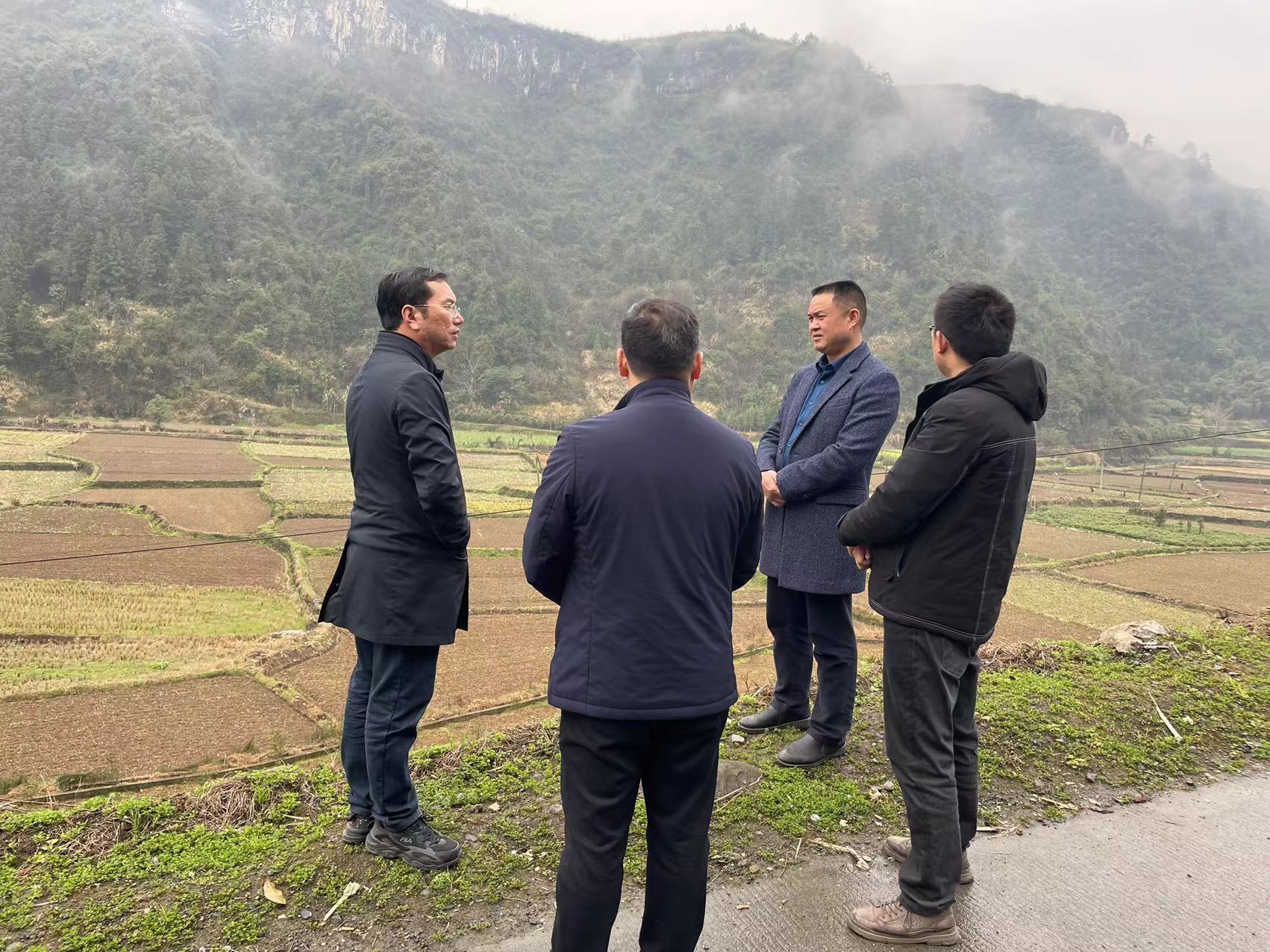 县委副书记、县人民政府县长陈瑞深入坪坝镇调研乡村振兴工作