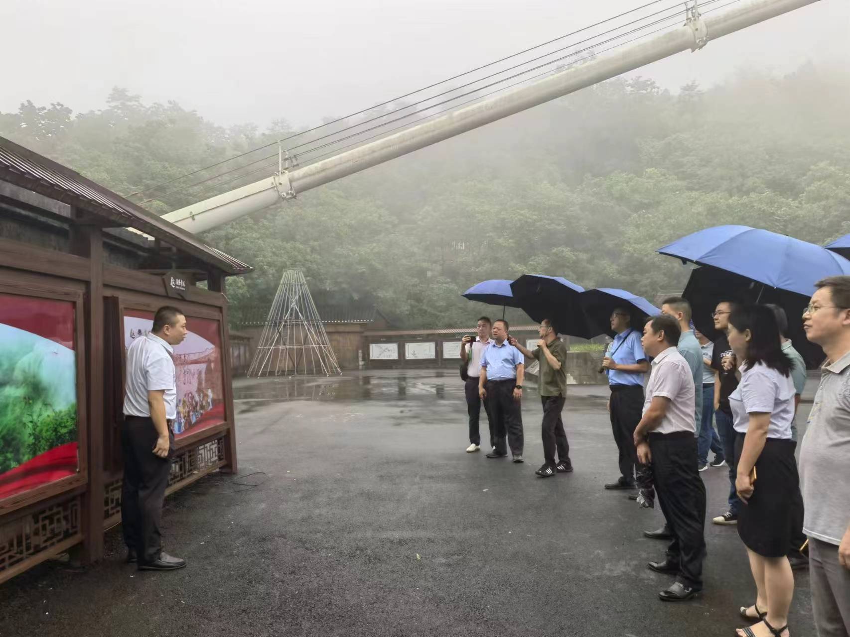 推进清廉建设 打造清廉茶乡