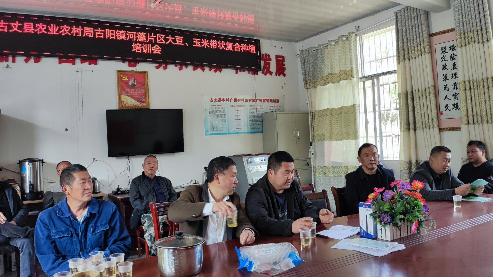 湘西古丈古阳镇：大豆玉米复合种植，产业兴旺大有可为
