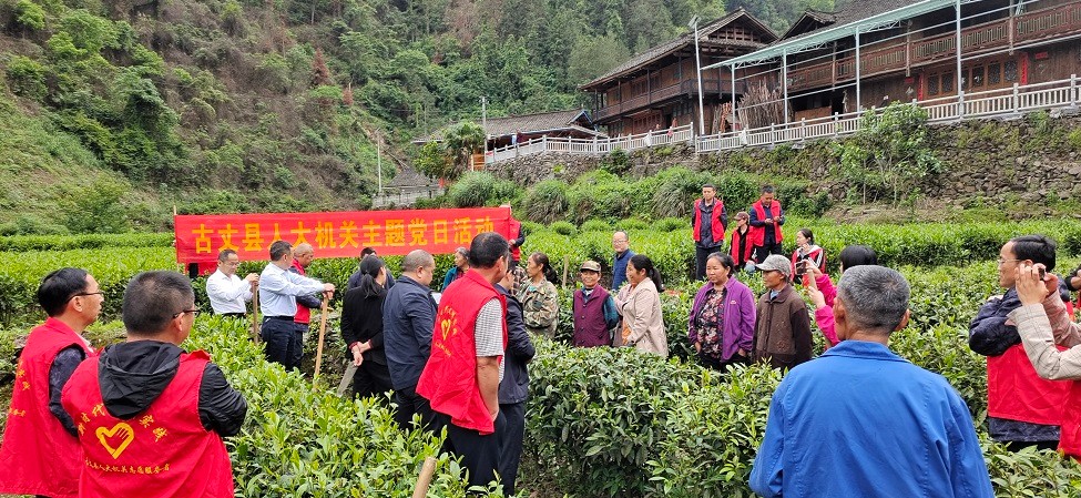 古丈县人大常委会：深入开展茶叶技术培训 写好产业富民文章