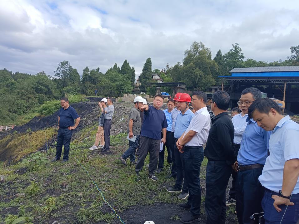 陈瑞深入宏泰锰业公司督导检查尾矿库治理工作