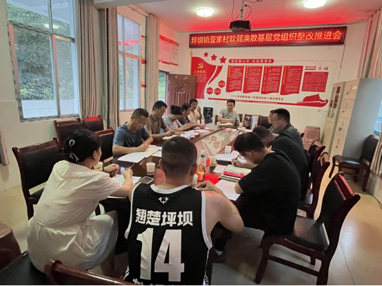 坪坝镇亚家村：整顿软弱涣散党组织，激起干事创业活力