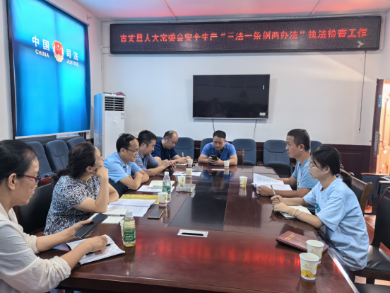 断龙山镇：县人大开展安全生产“三法一条例两办法”执法检查