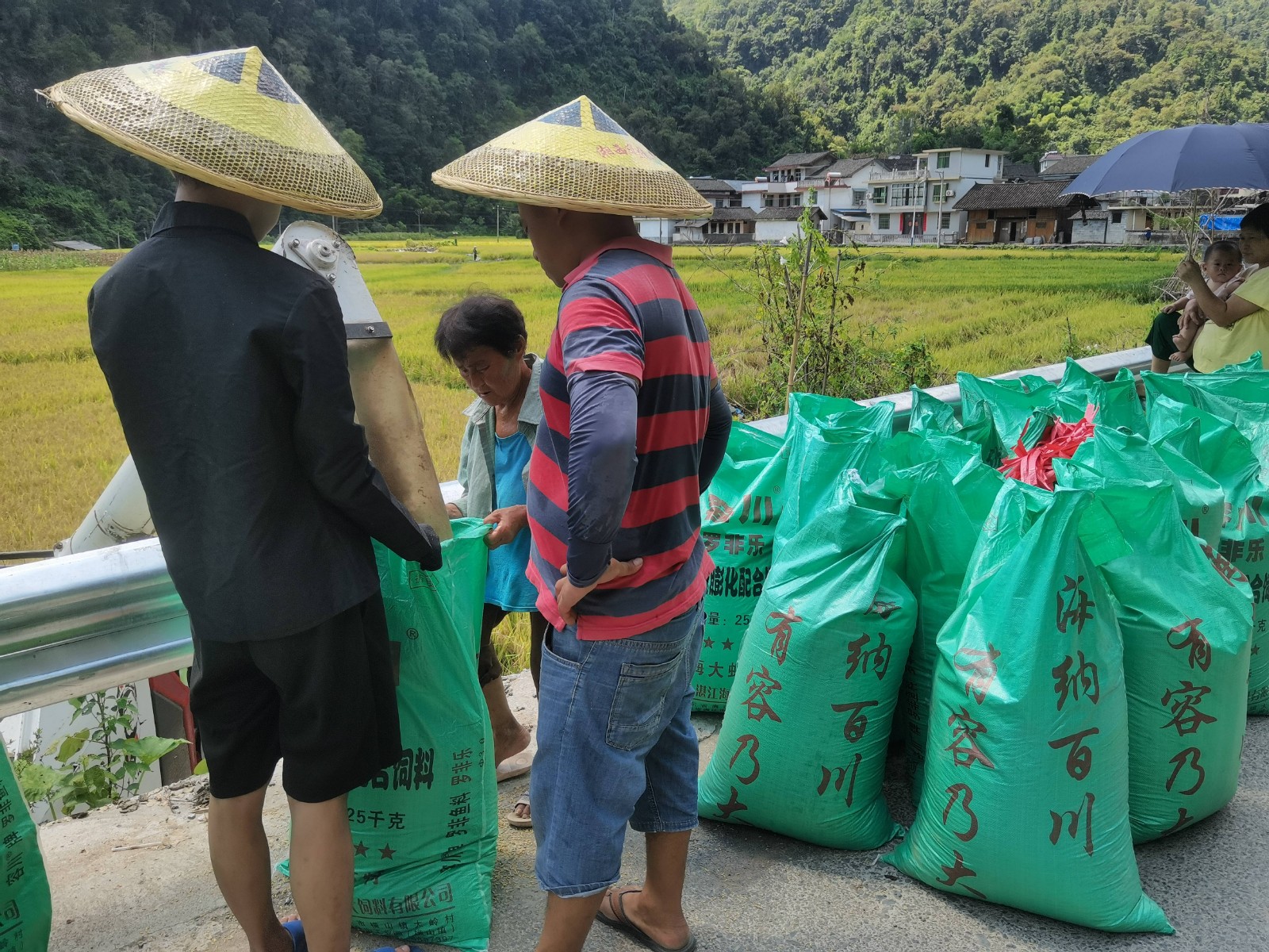 古阳镇官坪村：稻谷飘香喜丰收 机械收割助农忙