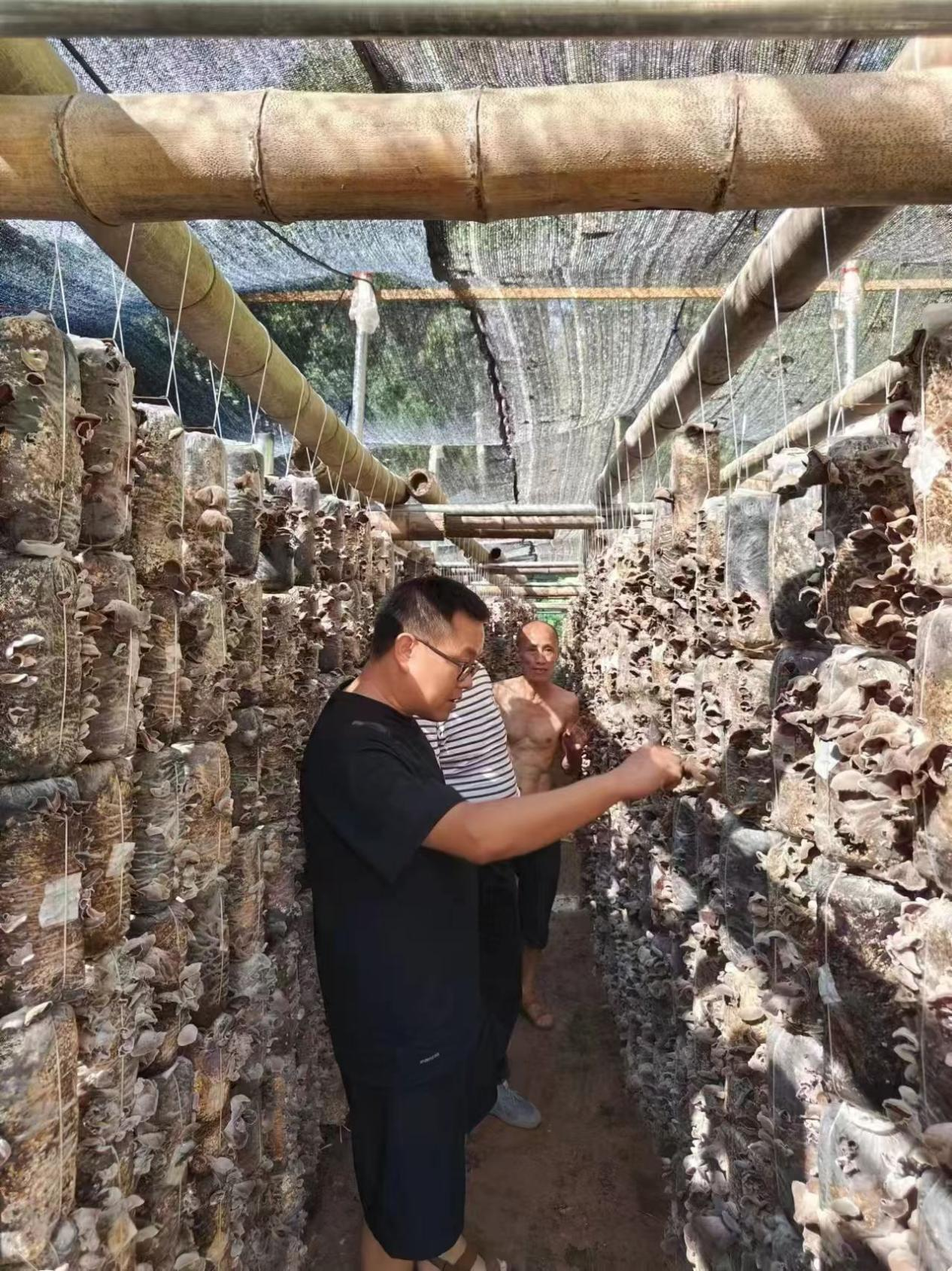 湘西古丈高峰镇：走访辖区企业  切实优化营商环境