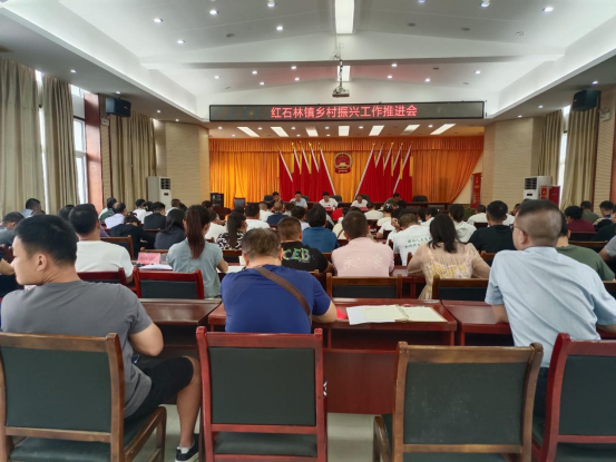 红石林镇召开乡村振兴工作推进会