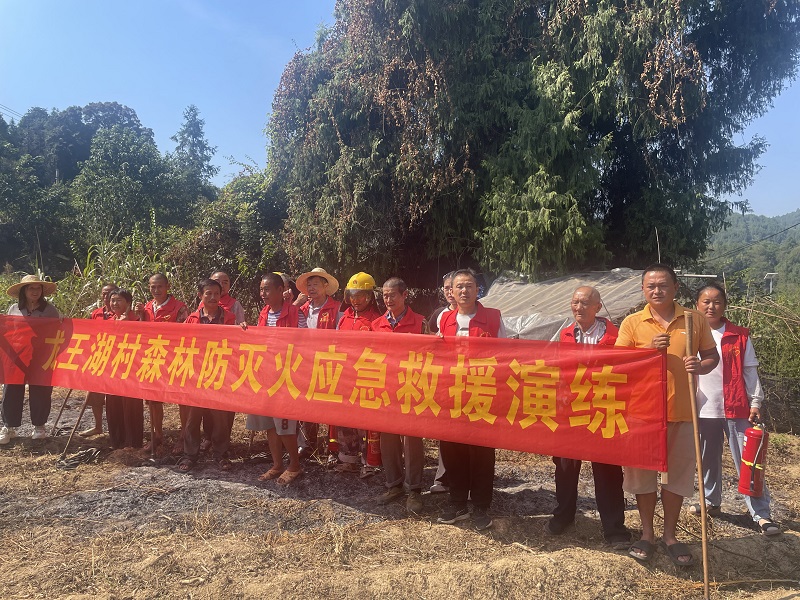 断龙山镇龙王湖村：织密织牢“三张网”，筑牢森林“防火墙”