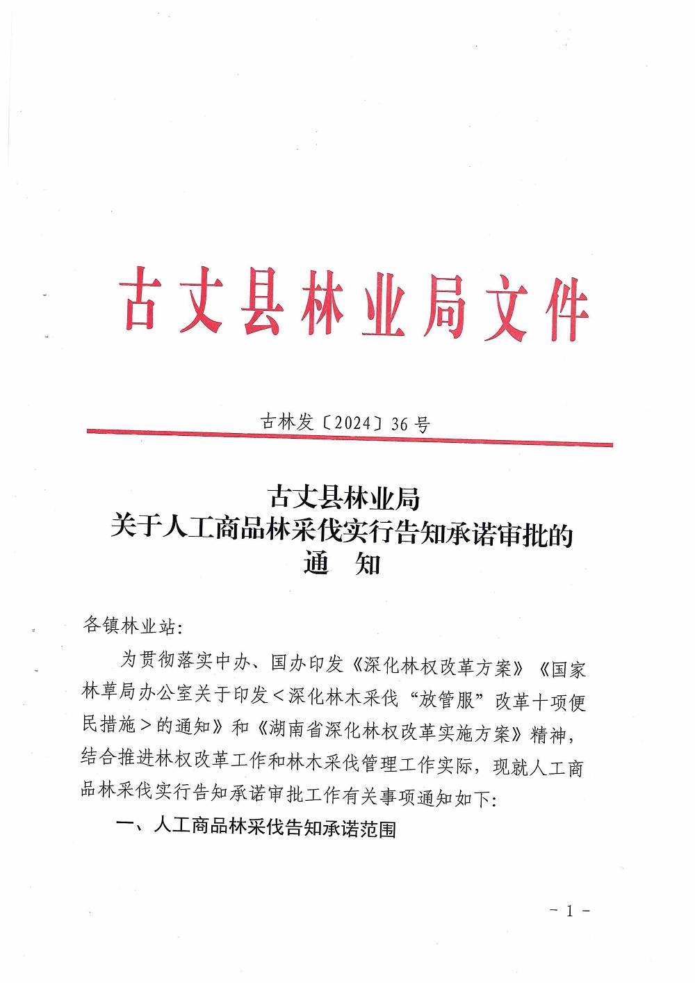 古丈县改革林木采伐政策惠民生
