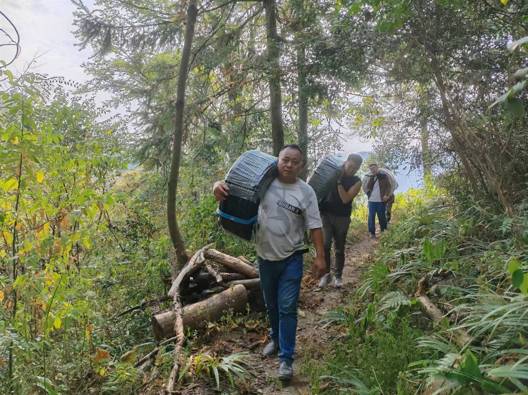 古丈高峰镇：扎根基层沃土 厚植为民情怀