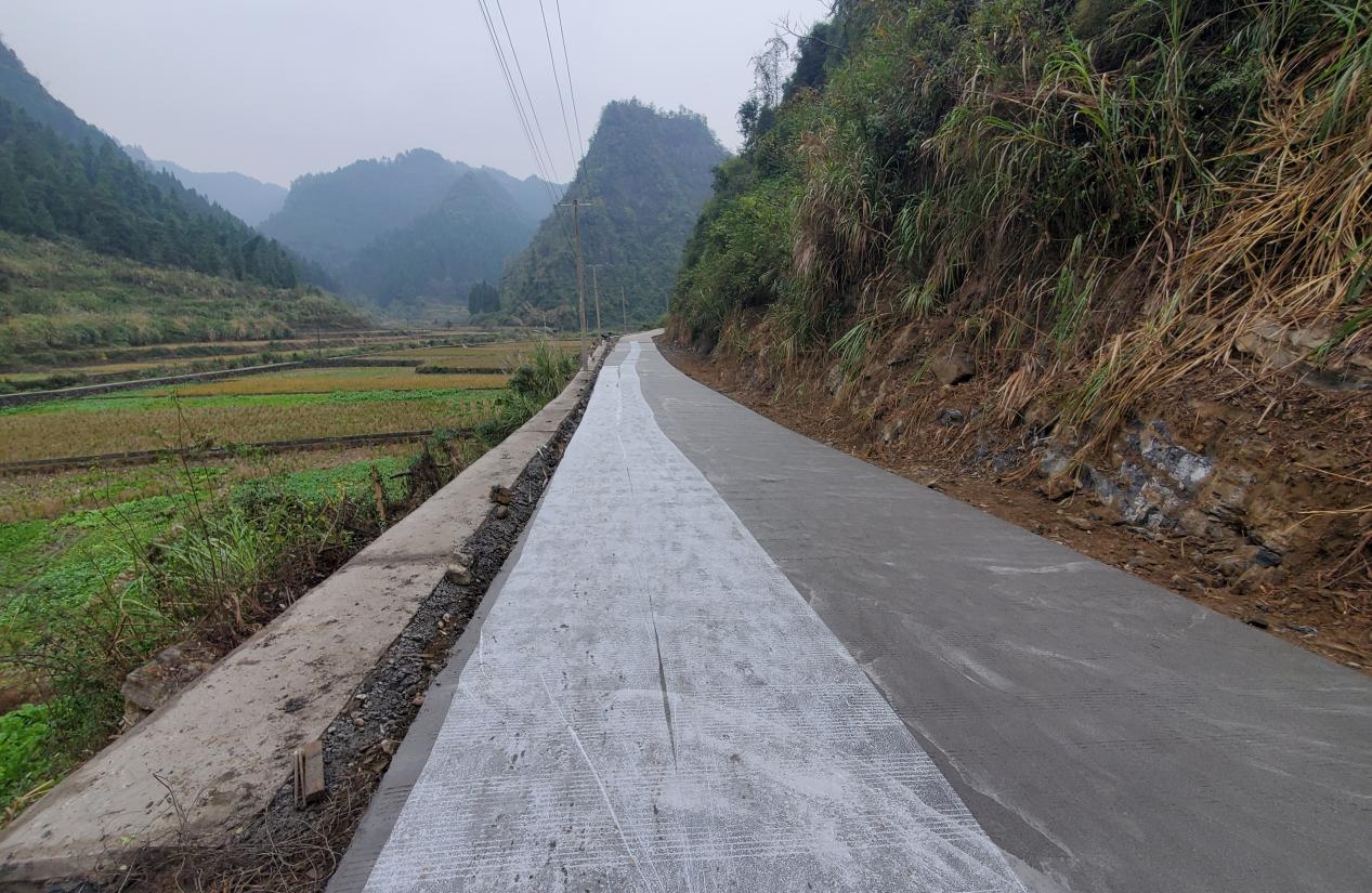 古阳镇河蓬村：道路硬化暖民心  办好实事路先行