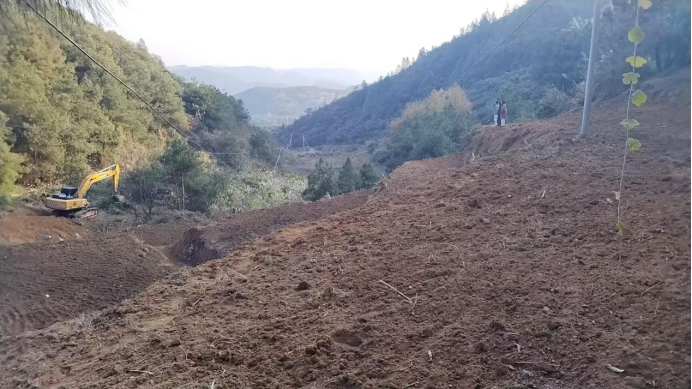 坪坝镇：寒冬不辍耕，冬季烟叶生产工作全面推进