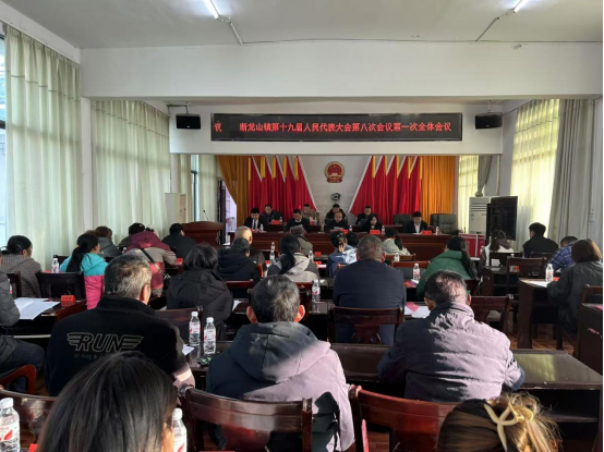 断龙山镇第十九届人民代表大会第八次会议胜利召开