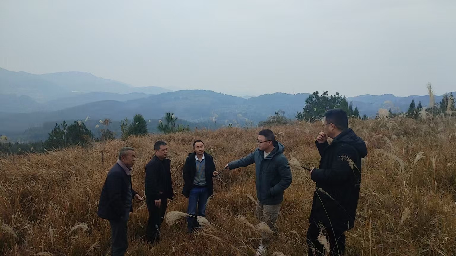 ​守红线、抓整治、齐上阵——断龙山镇全力推进耕地保护工作