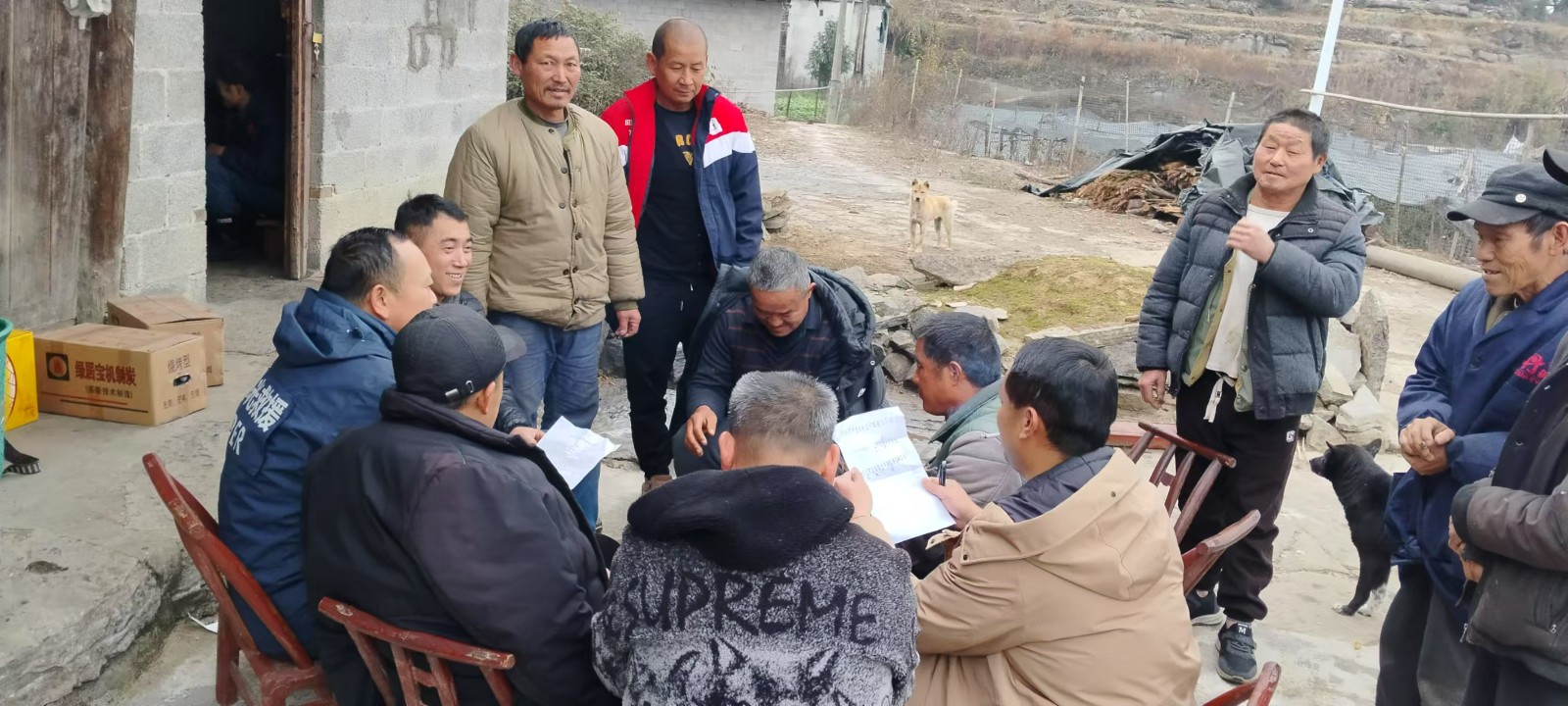 断龙山镇：烟叶产业兴旺，乡村振兴有望