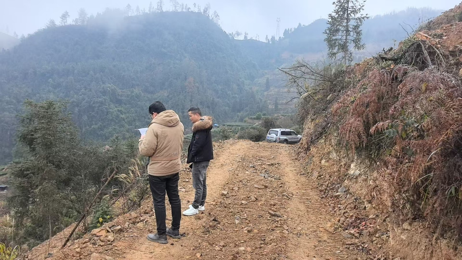 古阳镇：强化耕地保护  推动“图斑清零”