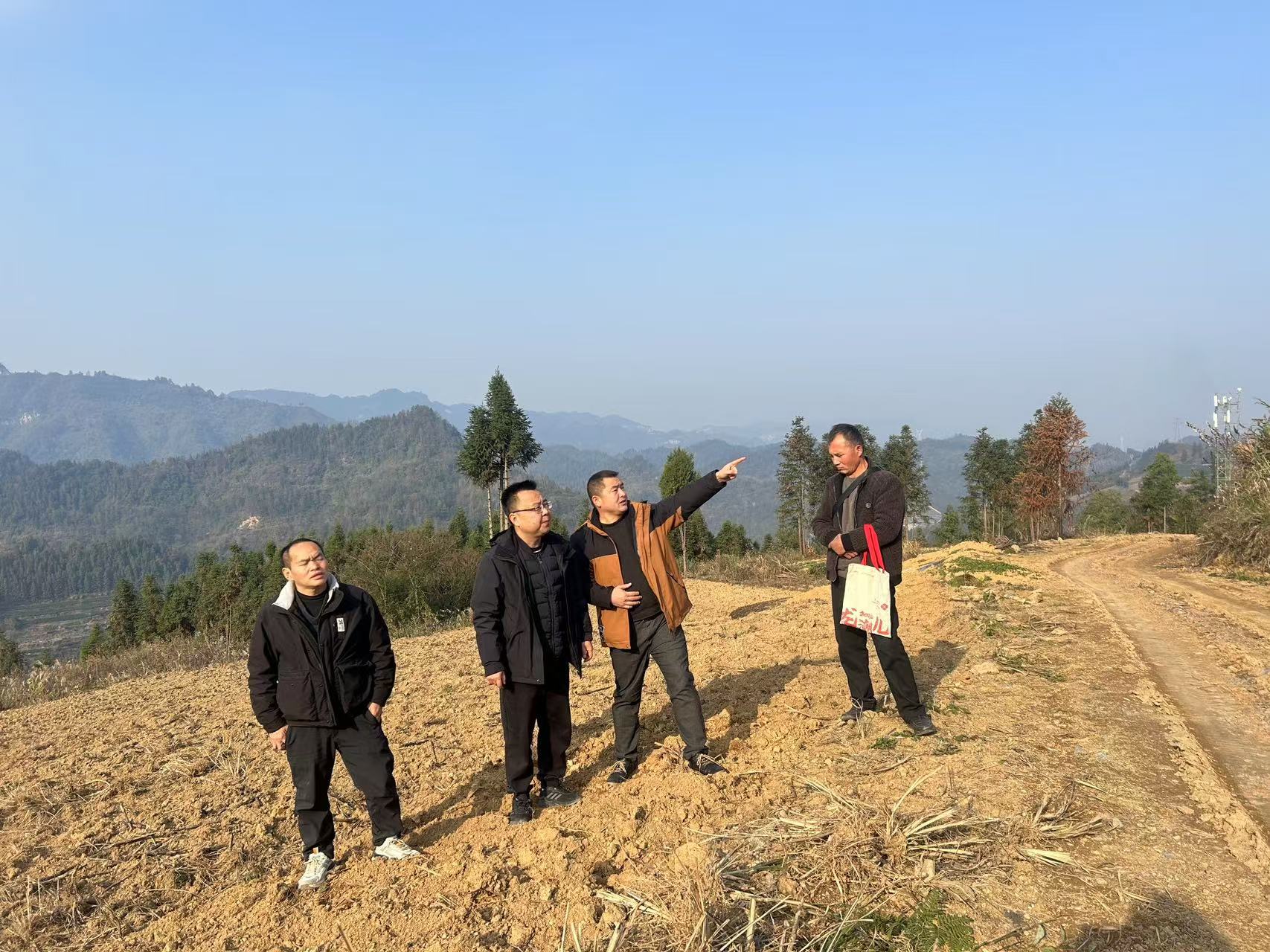 古丈县古阳镇：抓实今冬明春备耕生产，夯实农业种植发展基石