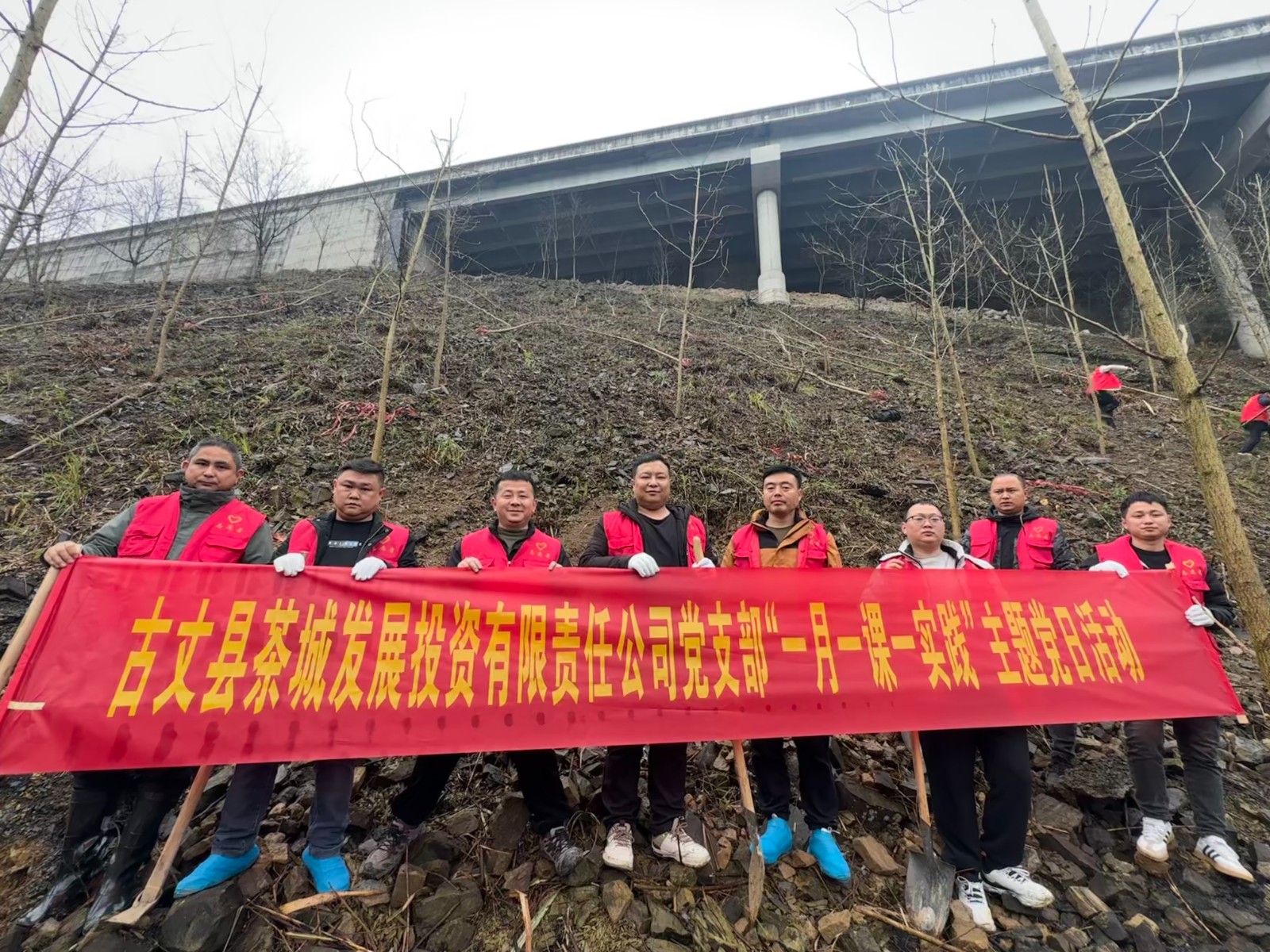 县茶投公司：“春风添新绿，植树正当时”义务植树主题党日活动