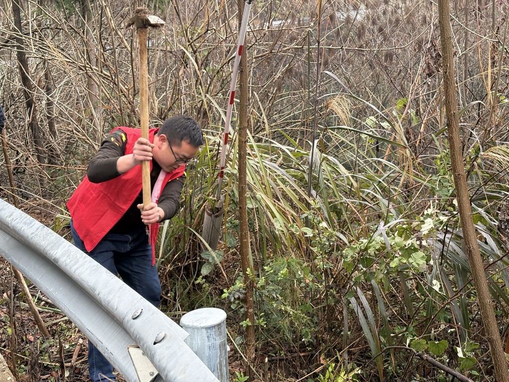 高峰镇：人大代表齐发力，用心履“植”添新绿
