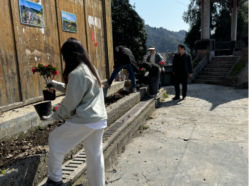 高峰镇：干群携手铺锦绣，齐心共绘新景图