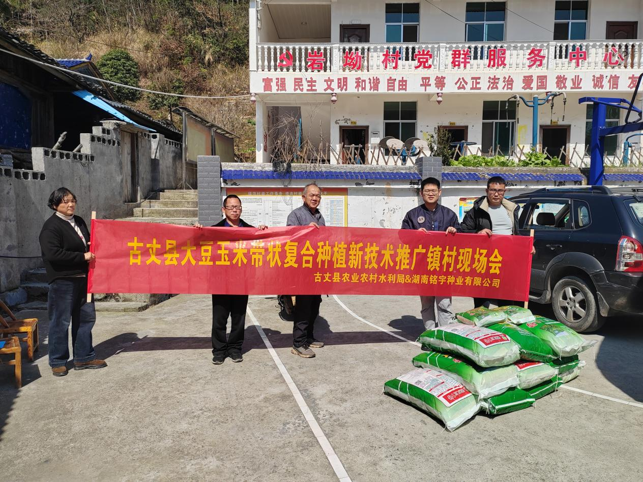 高峰镇：推广玉米大豆带状复合种植，抢抓农事助春耕